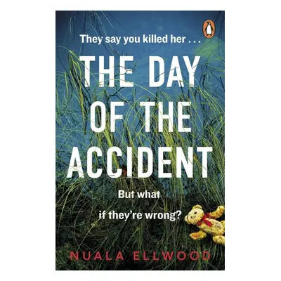 The Day of the Accident - Nuala Ellwood