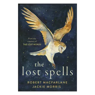 The Lost Spells - Jackie Morris