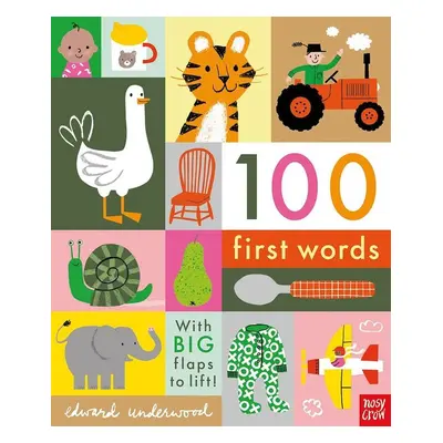 100 First Words - Edward Underwood