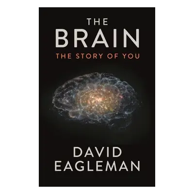 The Brain - David Eagleman