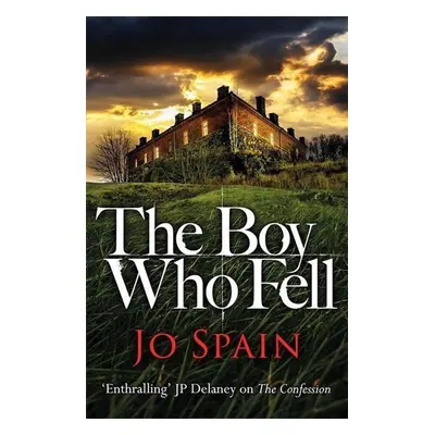 The Boy Who Fell - Jo Spain