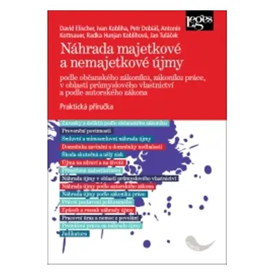 Náhrada majetkové a nemajetkové újmy - Jan Tuláček