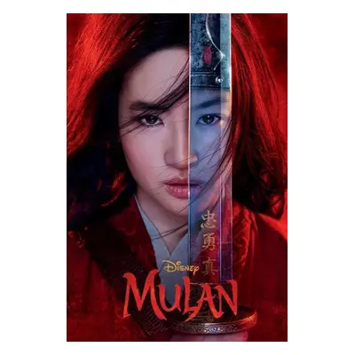 Mulan Live Action Novelization - Elizabeth Rudnick