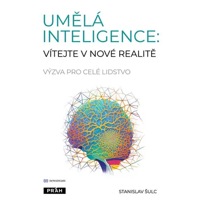 Umělá inteligence - Stanislav Šulc