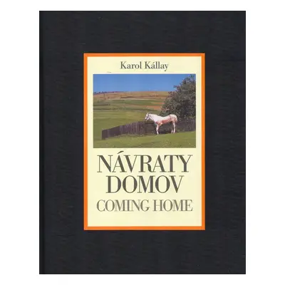 Návraty domov - Karol Kállay