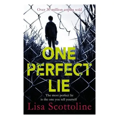 One Perfect Lie - Lisa Scottoline