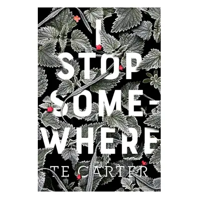 I Stop Somewhere - T. E. Carter