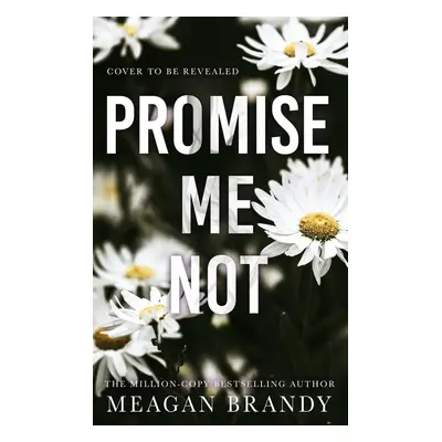 Promise Me Not - Meagan Brandy