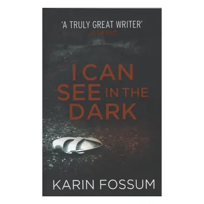 I Can See in the Dark - Karin Fossum