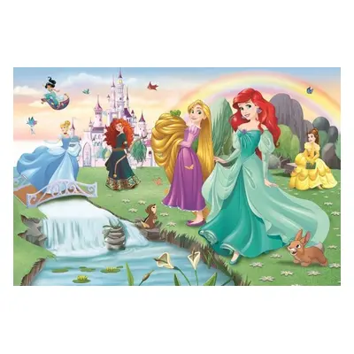 Puzzle Seznamte se s Disney princeznami - Autor Neuveden