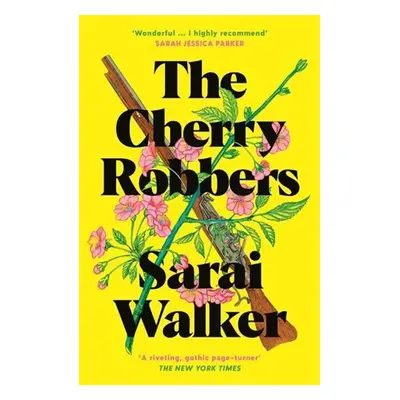 The Cherry Robbers - Naoise Dolan