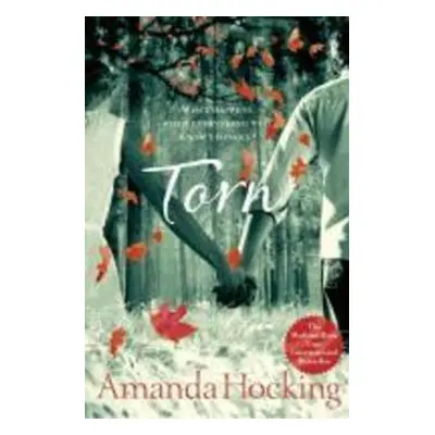 Torn - Amanda Hocking