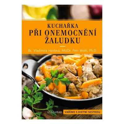 Kuchařka při onemocnění žaludku - Vladimíra Havlová