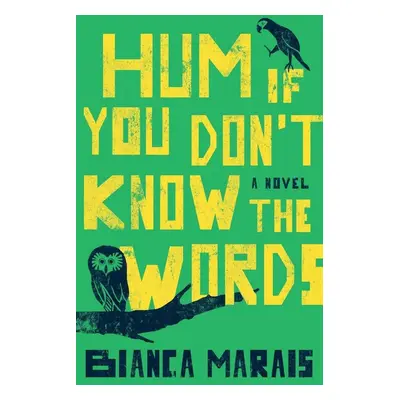 Hum If You Don't Know the Words - Bianca Marais