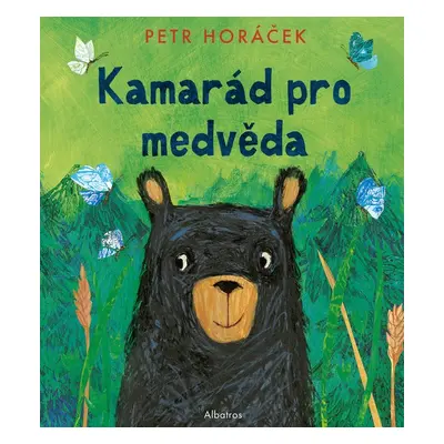 Kamarád pro medvěda - Petr Horáček