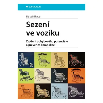 Sezení ve vozíku - Lia Vašíčková