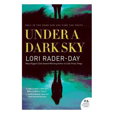 Under a Dark Sky - Lori Rader-Day