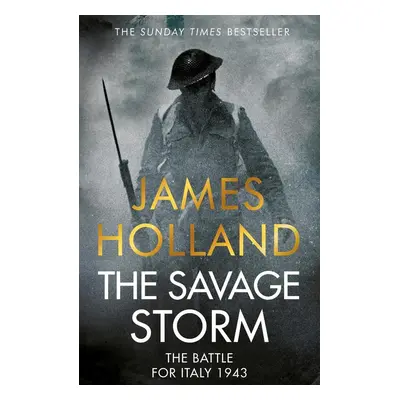 The Savage Storm - James Holland