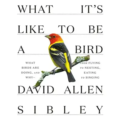 What It's Like to Be a Bird - David Allen Sibley