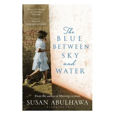 The Blue Between Sky and Water - Susan Abulhawa