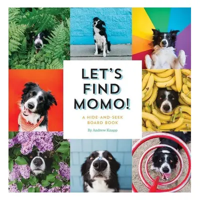 Let's Find Momo! - Andrew Knapp