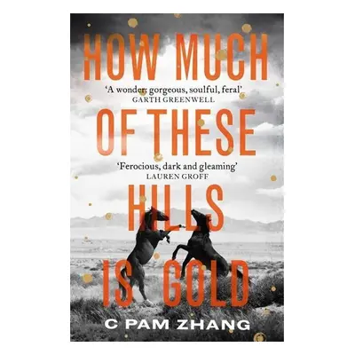 How Much of These Hills is Gold - C. Pam Zhang