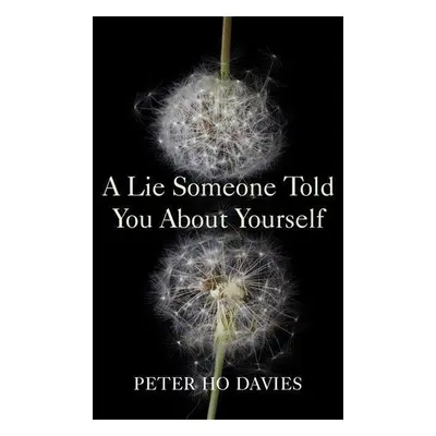 A Lie Someone Told You About Yourself - Peter Ho Davies