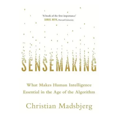 Sensemaking - Christian Madsbjerg