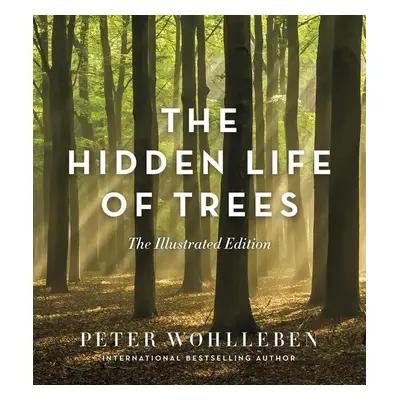 The Hidden Life of Trees: The Illustrated Edition - MUDr. Petr Wohl MUDr.