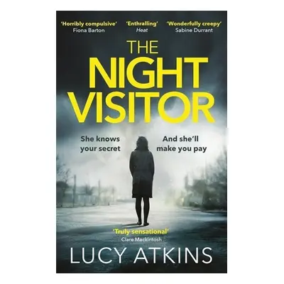 The Night Visitor - Lucy Atkins