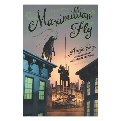 Maximillian Fly - Angie Sage