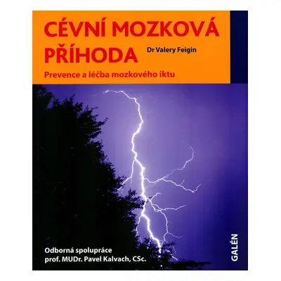 Cévní mozková příhoda - Valery Feigin