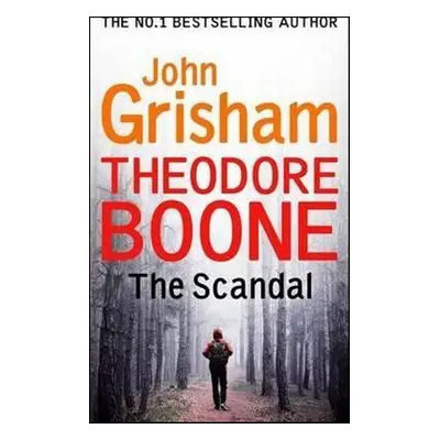 Theodore Boone The Scandal - John Grisham