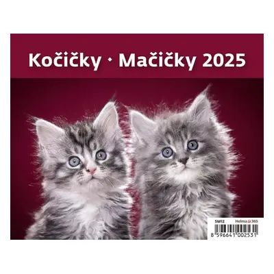 Kočičky 2025 - stolní kalendář - Autor Neuveden