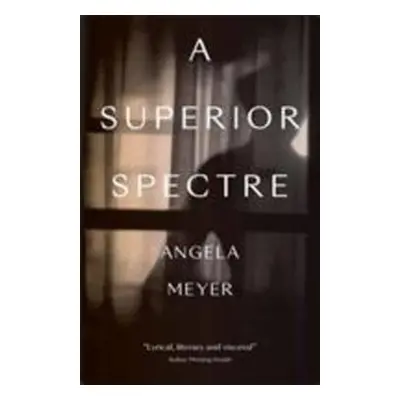 A Superior Spectre - Angela Meyer