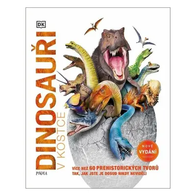 Dinosauři v kostce - Autor Neuveden