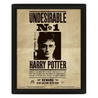 3D obraz Harry Potter Sirius - Autor Neuveden