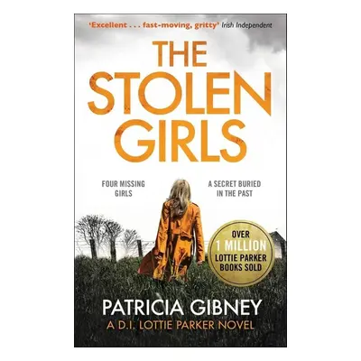 The Stolen Girls - Patricia Gibney