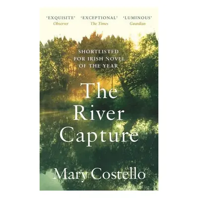 The River Capture - Mary Costello