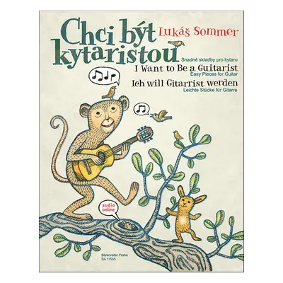 Chci být kytaristou - Lukáš Sommer