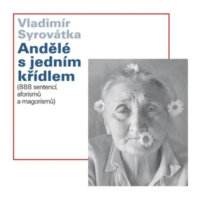 Andělé s jedním křídlem - Vladimír Syrovátka