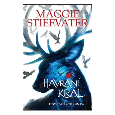 Havraní kráľ - Maggie Stiefvater