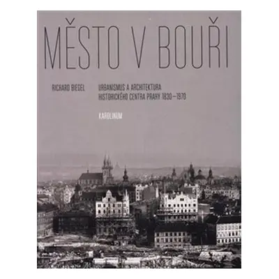 Město v bouři - Richard Biegel