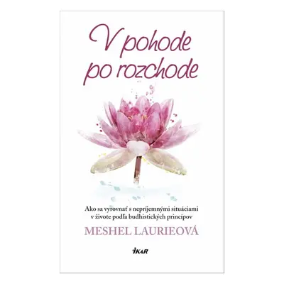 V pohode po rozchode - Meshel Laurieová