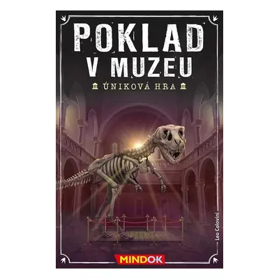 Poklad v muzeu - Leo Colovini