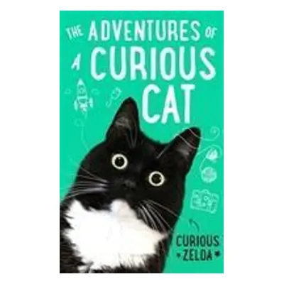 The Adventures of a Curious Cat - Curious Zelda