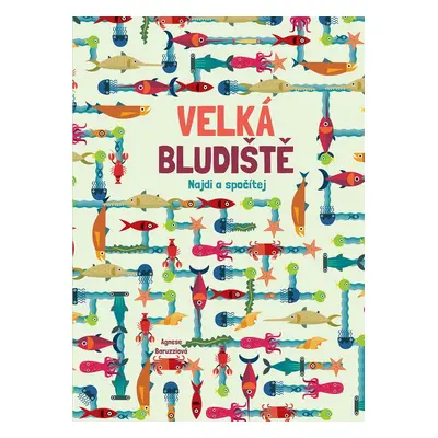 Velká bludiště - Agnese Baruzzi