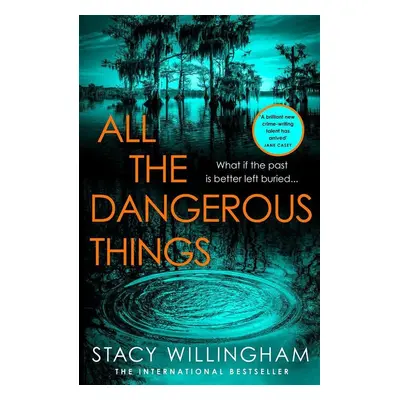 All the Dangerous Things - Stacy Willingham