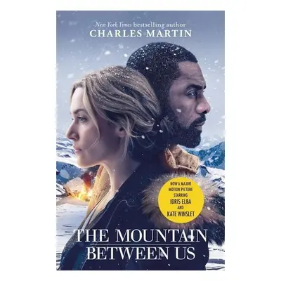 The Mountain Between Us - Charles Martin