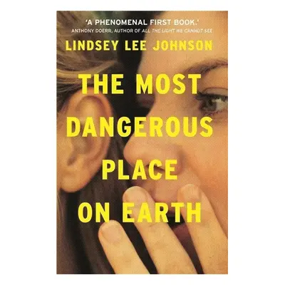 The Most Dangerous Place on Earth: An 'astonishing debut novel' - Lindsey Lee Johnson